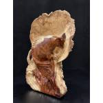 Burlwood fish carving- Ms16711