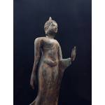 Bronze walking Buddha- Ms8388