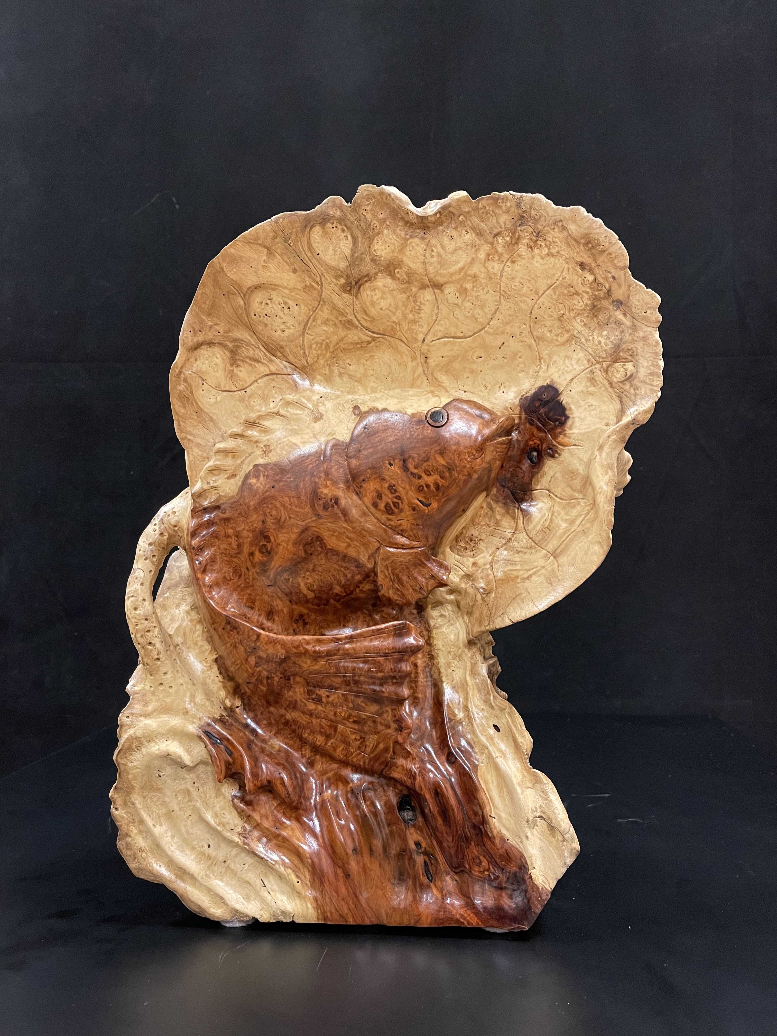 Burlwood fish carving- Ms16711