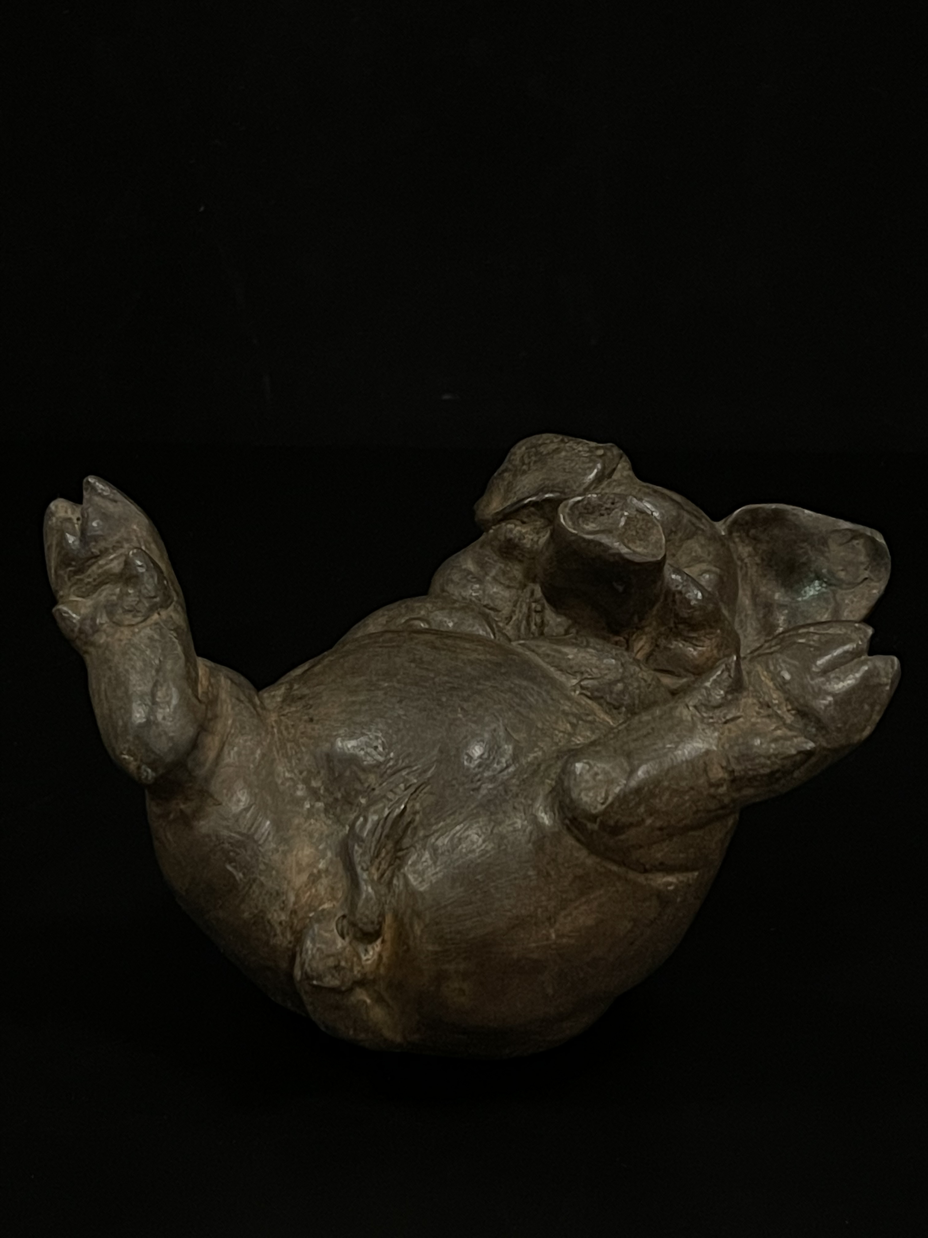 Bronze laughing Pig- Ms16078